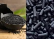 ADSURF – Activated Carbon Solutions by EcoGreen